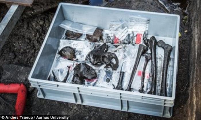 Bundles of bones, bones bearing marks of cutting and scraping, and crushed skulls were also found at Bundles of bones, bones bearing marks of cutting and scraping, and crushed skulls were also found at