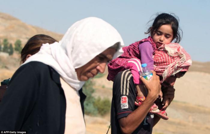 They are being given food, water and medical treatment at shelters in Turkey and Syria after being d They are being given food, water and medical treatment at shelters in Turkey and Syria after being d