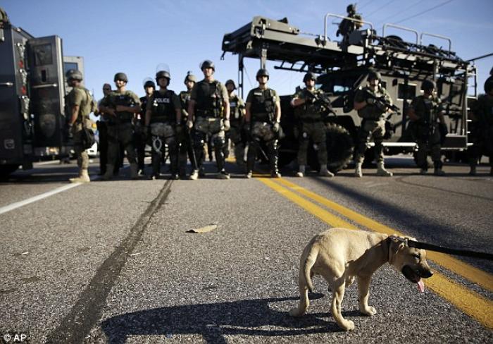 Riots have torn apart the St. Louis suburb of Ferguson. Nightly clashes between protestors and riot Riots have torn apart the St. Louis suburb of Ferguson. Nightly clashes between protestors and riot