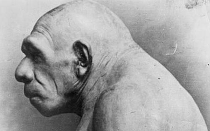 It was a given scientific belief that Neanderthals were inferior in intelligence to modern humans, w It was a given scientific belief that Neanderthals were inferior in intelligence to modern humans, w