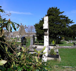 Image of St. Finian Lobhar Image of St. Finian Lobhar