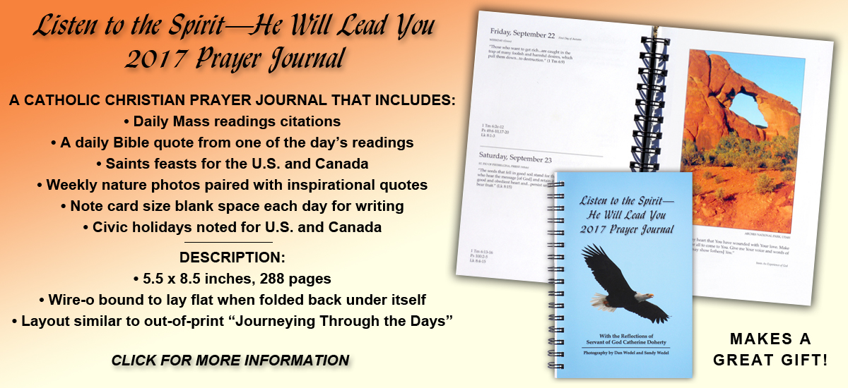 daily bible readings catholic