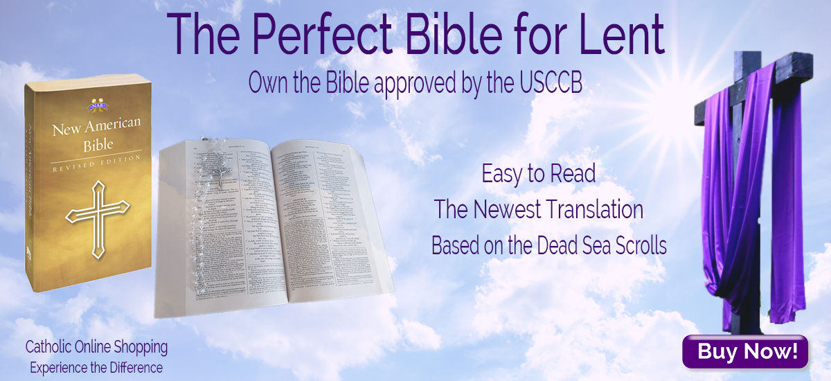Books Of The Bible Bible Catholic Online - 