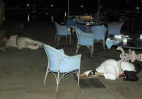 Bodies lie near the swimming pool of the Taj Mahal hotel after shootings by unidentified assailants in Mumbai November 26, 2008. Elite Indian commandos fought room-to-room battles with Islamist militants inside two luxury hotels to save scores of people trapped or taken hostage, as the country's prime minister blamed neighbouring countries. Picture taken November 26, 2008. Image of Bodies lie near the swimming pool of the Taj Mahal hotel after shootings by unidentified assailants in Mumbai November 26, 2008. Elite Indian commandos fought room-to-room battles with Islamist militants inside two luxury hotels to save scores of people trapped or taken hostage, as the country's prime minister blamed neighbouring countries. Picture taken November 26, 2008.