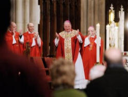 My brother bishops, priests, religious women and men, seminarians, committed Catholics of this wonderful Church, I pledge to you my love, my life, my heart, and I can tell you already that I love you, I need so much your prayers and support, I am so honored, humbled, and happy to serve as your pastor. Image of My brother bishops, priests, religious women and men, seminarians, committed Catholics of this wonderful Church, I pledge to you my love, my life, my heart, and I can tell you already that I love you, I need so much your prayers and support, I am so honored, humbled, and happy to serve as your pastor.