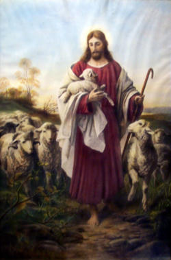 Image of