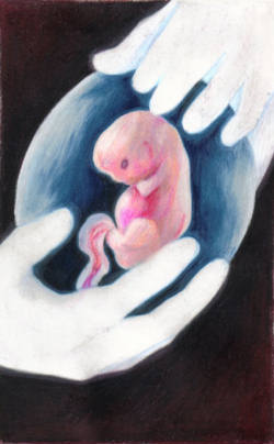 Save the Embryonic Humans - U.S. News - News - Catholic Online