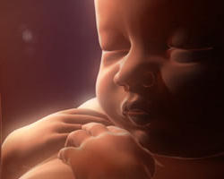 Do you ever hear from NOW or NARAL when only baby girls are aborted in China or India? Do you ever hear from them when women here in this country are coerced or pressured by their employers, husbands, parents or boyfriends to have an abortion? Image of Do you ever hear from NOW or NARAL when only baby girls are aborted in China or India? Do you ever hear from them when women here in this country are coerced or pressured by their employers, husbands, parents or boyfriends to have an abortion?
