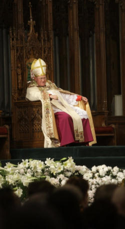 Yes, the Church is a loving mother who has a zest for life and serves life everywhere, but she can become a protective 'mamma bear' when the life of her innocent, helpless cubs is threatened. Image of Yes, the Church is a loving mother who has a zest for life and serves life everywhere, but she can become a protective 'mamma bear' when the life of her innocent, helpless cubs is threatened.
