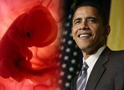 Despite supporters' constant claim that this agenda involves only embryos that 'would otherwise be discarded,' the guidelines provide that the option of donating embryonic children for destructive research. Image of Despite supporters' constant claim that this agenda involves only embryos that 'would otherwise be discarded,' the guidelines provide that the option of donating embryonic children for destructive research.