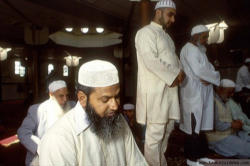 (Pictured: Muslim men in Prayer in an Amsterdam Mosque) 'When I arrived here, during the 1960's, religion was dying, a unique event in Europe, a collective de-Christianization. Then the Muslims brought religion back to the center of social life. Aided by the anti-Christian elite'. Image of (Pictured: Muslim men in Prayer in an Amsterdam Mosque) 'When I arrived here, during the 1960's, religion was dying, a unique event in Europe, a collective de-Christianization. Then the Muslims brought religion back to the center of social life. Aided by the anti-Christian elite'.