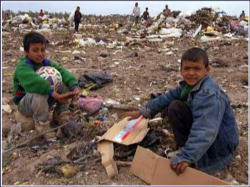I ask you all to join me in praying for the afflicted peoples of that region. In a special way I ask that you remember the Palestinian people who have endured great hardship and suffering. May the Lord bless them and all those who live in the Holy Land with the gifts of unity and peace. Image of I ask you all to join me in praying for the afflicted peoples of that region. In a special way I ask that you remember the Palestinian people who have endured great hardship and suffering. May the Lord bless them and all those who live in the Holy Land with the gifts of unity and peace.