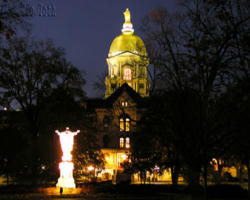 Image of
