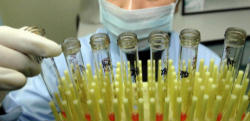 The pro-abortion (pro-choice) forces in our society are adamantly opposed to any suggestion of even the earliest human embryo being recognized as human. In the mind of these ideologues it is essential to continue to promote the perception that these early human embryos are “just a clump of cells” that should be used for advancing medical cures. Image of The pro-abortion (pro-choice) forces in our society are adamantly opposed to any suggestion of even the earliest human embryo being recognized as human. In the mind of these ideologues it is essential to continue to promote the perception that these early human embryos are “just a clump of cells” that should be used for advancing medical cures.