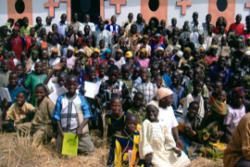 Image of