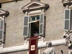 Image of