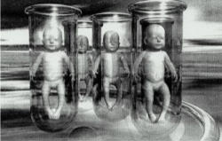 Reports in the media have said that the breakthrough is step towards creating ova and sperm for IVF treatments without harvesting them directly from donors. This leads to the possibility of procedures to enable homosexuals to have children created from their own cells without the use of donated ova or sperm. Image of Reports in the media have said that the breakthrough is step towards creating ova and sperm for IVF treatments without harvesting them directly from donors. This leads to the possibility of procedures to enable homosexuals to have children created from their own cells without the use of donated ova or sperm.