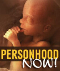 Article I Section 8 of the Nevada constitution states, 'No person shall be deprived of life, liberty or property without due process of law'. Image of Article I Section 8 of the Nevada constitution states, 'No person shall be deprived of life, liberty or property without due process of law'.