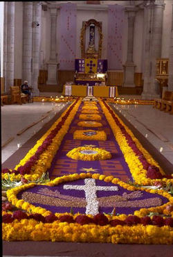 The Feast of All saints is our family Feast day when we honor all those who have died, marked with the sign of faith, and gone on before us to be with the Lord. They now beckon all of us into the fullness of the communion of love. The Feast of All saints is our family Feast day when we honor all those who have died, marked with the sign of faith, and gone on before us to be with the Lord. They now beckon all of us into the fullness of the communion of love.