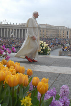 The Catholic Universities' commitment to serve the truth is a share in the Church's mission to evangelize, said the Holy Father. Image of The Catholic Universities' commitment to serve the truth is a share in the Church's mission to evangelize, said the Holy Father.