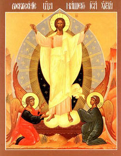 The ECHR decision came last week in response to a single suit brought by an Italian citizen of Finnish origin who has been campaigning for eight years to have crucifixes removed from schools. The court ruled that the display of crucifixes in public schools restricted religious freedoms. Image of The ECHR decision came last week in response to a single suit brought by an Italian citizen of Finnish origin who has been campaigning for eight years to have crucifixes removed from schools. The court ruled that the display of crucifixes in public schools restricted religious freedoms.