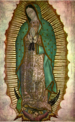 A recent surveyed showed that one out of every four Mexicans say they have received a favor or miracle through the intercession of the Virgin, who is patron of the Americas. Image of A recent surveyed showed that one out of every four Mexicans say they have received a favor or miracle through the intercession of the Virgin, who is patron of the Americas.