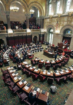 The New York Senate. Image of The New York Senate.