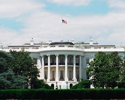 Image of
