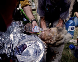69-year-old Enu Zizi buried under the rubble Tuesday, in pain but alive. Zizi's first words to her rescuers were, 'I love you.' Image of 69-year-old Enu Zizi buried under the rubble Tuesday, in pain but alive. Zizi's first words to her rescuers were, 'I love you.'