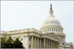'Abortion neutral' is the favorite mantra being used by all the pro-abortion Catholics supporting this bill. Image of 'Abortion neutral' is the favorite mantra being used by all the pro-abortion Catholics supporting this bill.