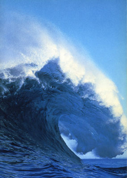 Image of