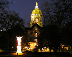 Image of