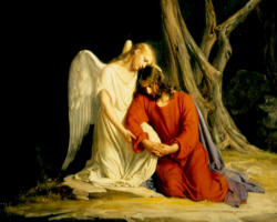 It is often those times and circumstances that become the very path to holiness if we learn to love as He loves. Our Christian vocation is to live as He lives, to love as He loves and to thereby become Image of It is often those times and circumstances that become the very path to holiness if we learn to love as He loves. Our Christian vocation is to live as He lives, to love as He loves and to thereby become