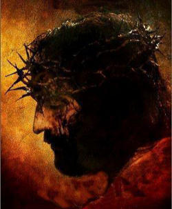 Image of