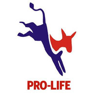 Image of