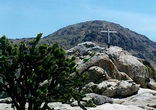 Image of