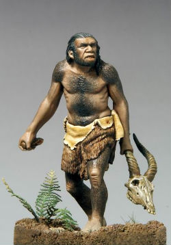 The biologists decoded the Neanderthal genome last year, where they at first reported no significant evidence of interbreeding. The biologists decoded the Neanderthal genome last year, where they at first reported no significant evidence of interbreeding.
