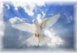 The first time our Blessed Mother received the gift of the Holy Spirit, Jesus took on a physical body. When our Blessed Mother and the Apostles received the gift of the Holy Spirit at Pentecost, Jesus took on a mystical body--the Church. Image of The first time our Blessed Mother received the gift of the Holy Spirit, Jesus took on a physical body. When our Blessed Mother and the Apostles received the gift of the Holy Spirit at Pentecost, Jesus took on a mystical body--the Church.