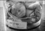Police discovered a gruesome display of 35 frozen unborn children preserved in jars. Image of Police discovered a gruesome display of 35 frozen unborn children preserved in jars.
