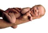 Image of