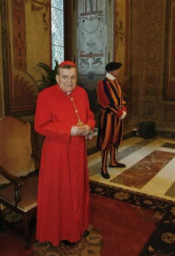 Cardinal Raymond Burke Cardinal Raymond Burke