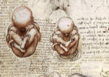 The French Media referred to the child born through IVF - specifically to be used to cure a born child - as a Image of The French Media referred to the child born through IVF - specifically to be used to cure a born child - as a