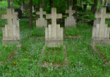 Image of