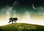 Image of