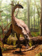 Evolutionary biologists explain that modern birds may be among the closest living relatives to dinosaurs. Image of Evolutionary biologists explain that modern birds may be among the closest living relatives to dinosaurs.