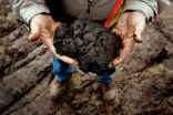 Tar sands are much more sand than oil. They require water and chemical additives to flow through pipelines. Image of Tar sands are much more sand than oil. They require water and chemical additives to flow through pipelines.