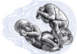 Image of