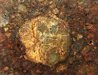 Gold has previously been found in trace amounts in meteorites. Image of Gold has previously been found in trace amounts in meteorites.