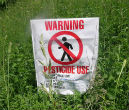 Children may be exposed to pesticides in their everyday diet and activity. Image of Children may be exposed to pesticides in their everyday diet and activity.