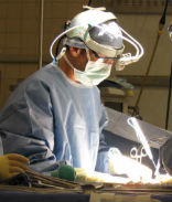 A prostate biopsy in this file photo. Image of A prostate biopsy in this file photo.